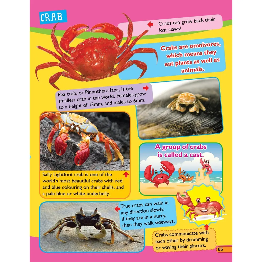 365 Facts Series - (A set of 3 Books)