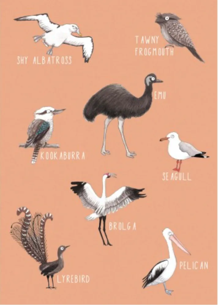 Greeting Card - Birds of Australia