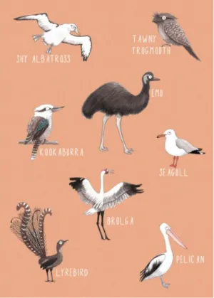 Greeting Card - Birds of Australia