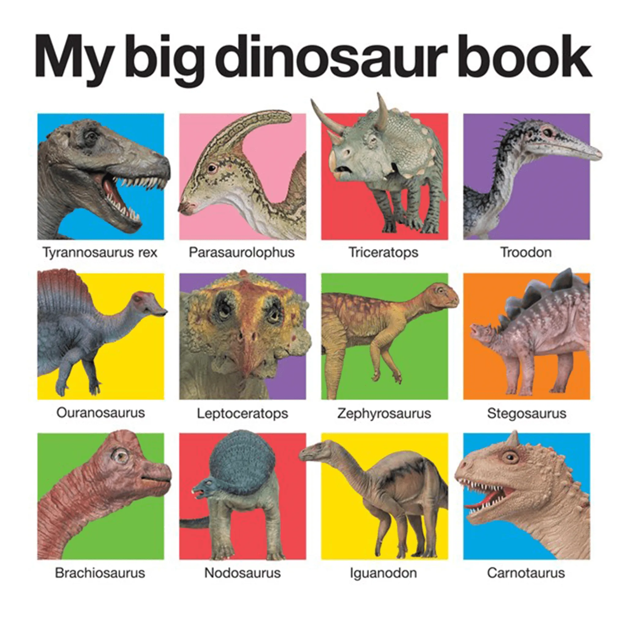 My Big Board Books