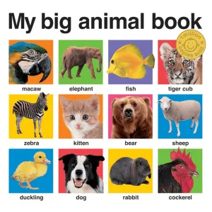 My Big Board Books
