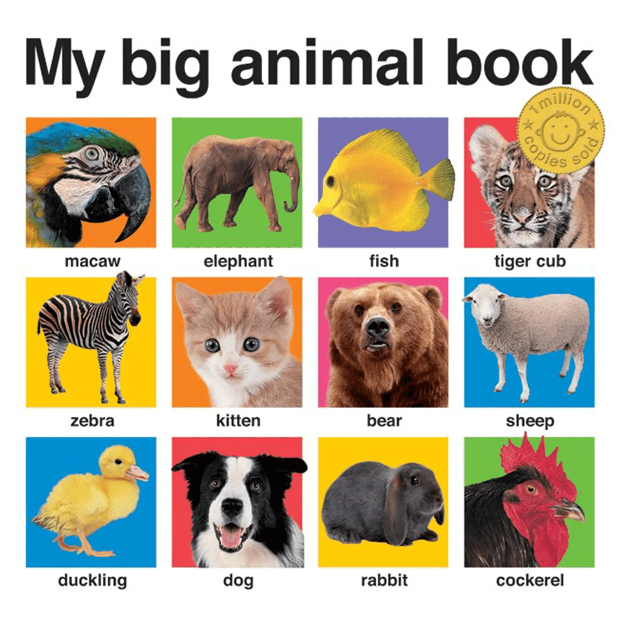My Big Board Books