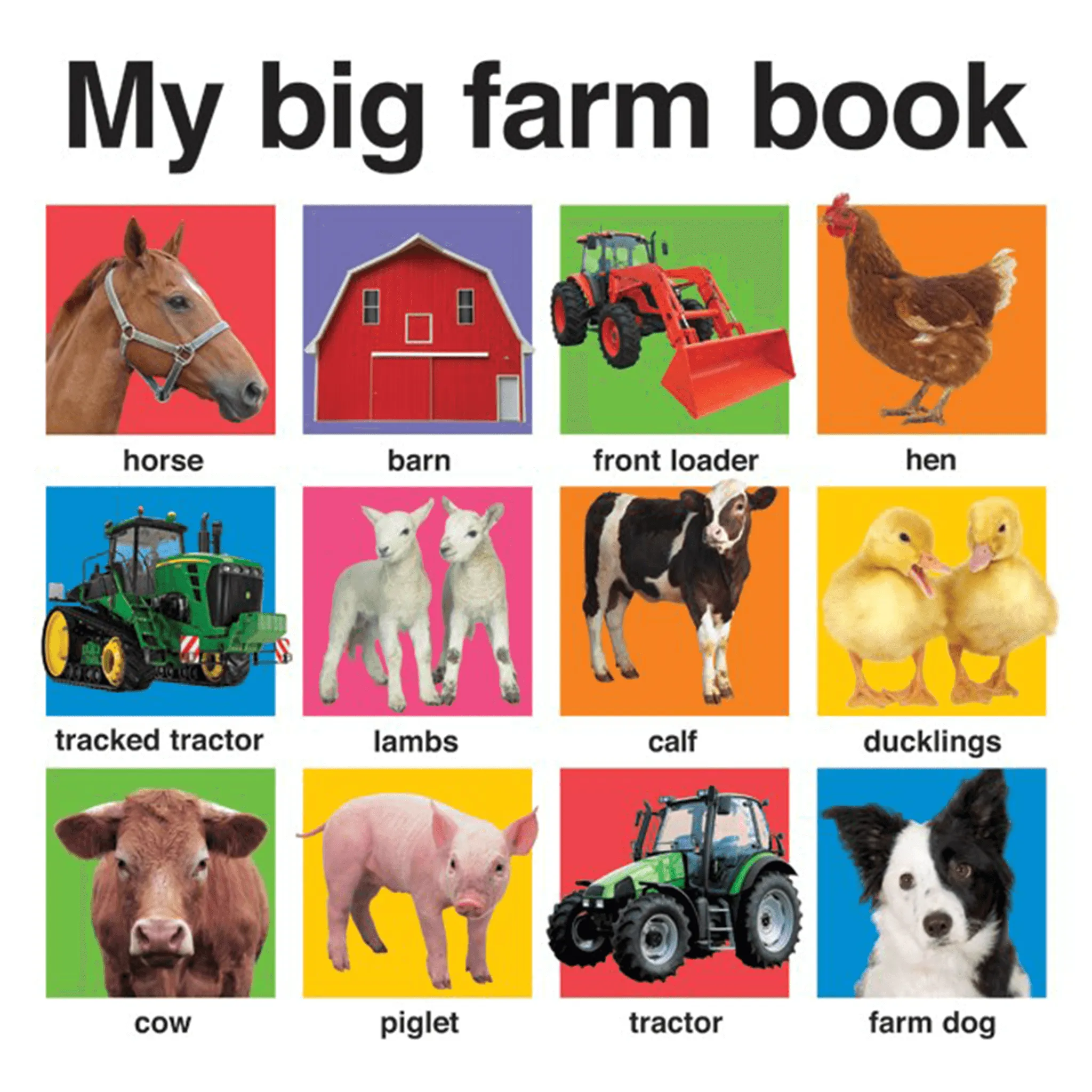 My Big Board Books