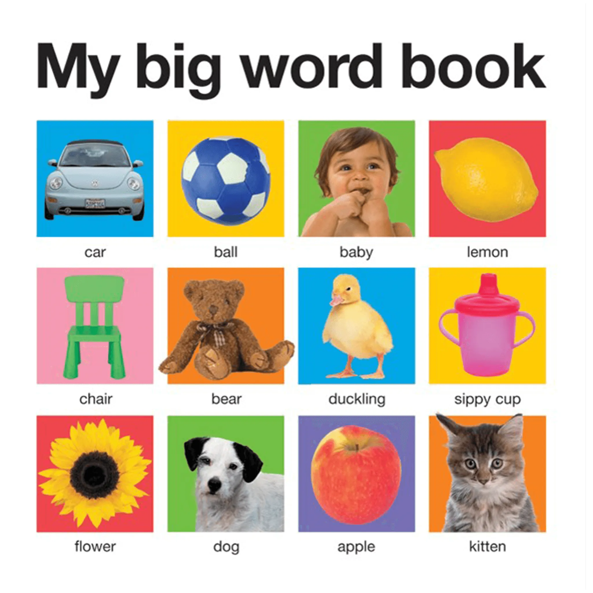 My Big Board Books