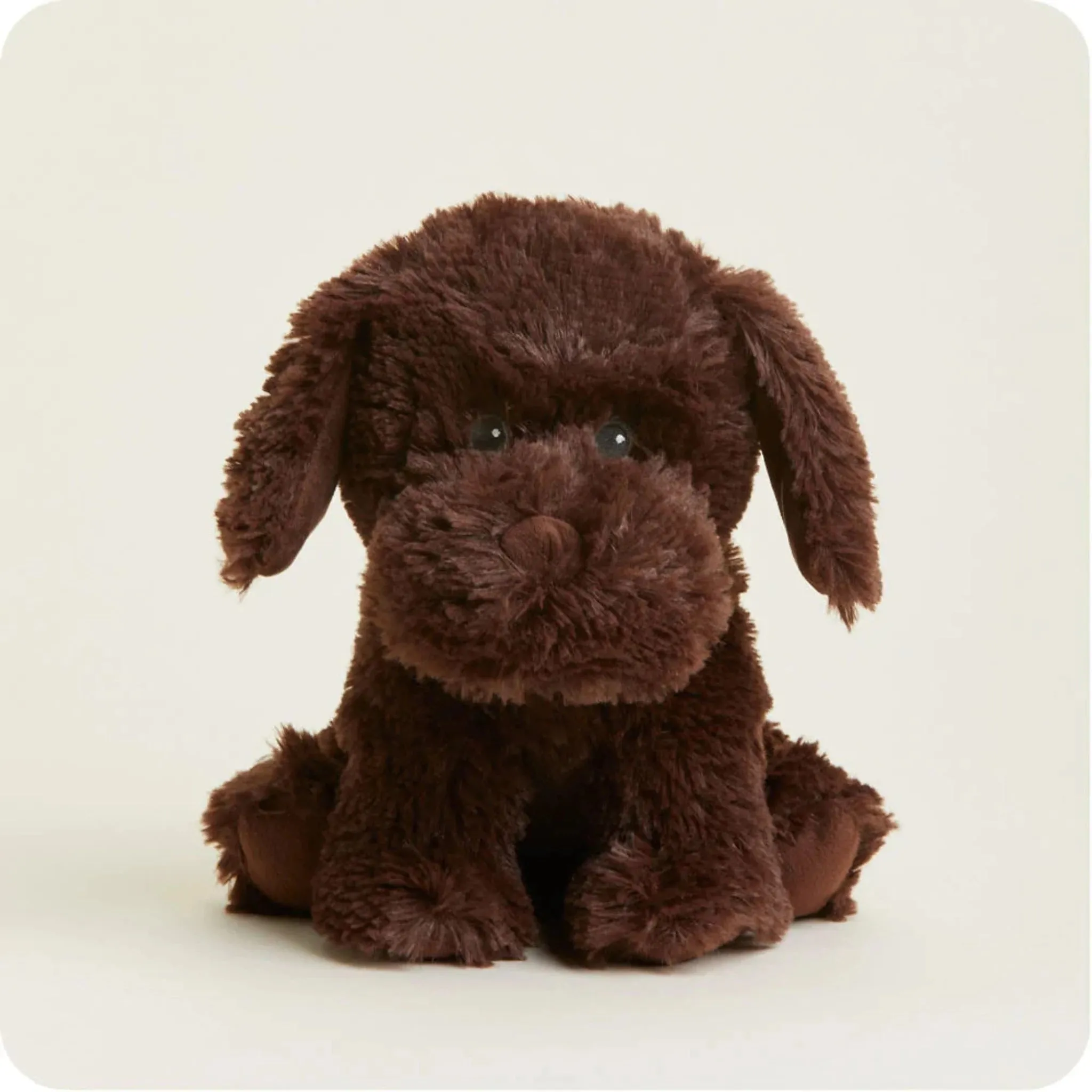 Warmies Chocolate Labrador