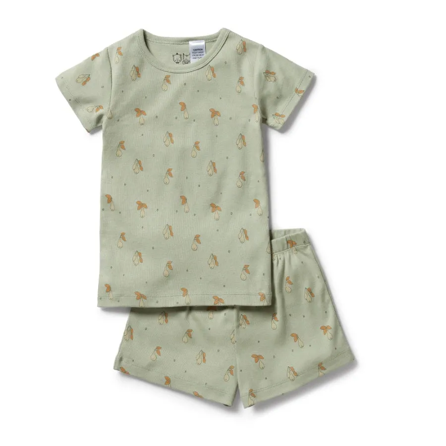 Wilson & Frenchy Organic Rib Short Sleeve Pyjamas - Perfect Pears